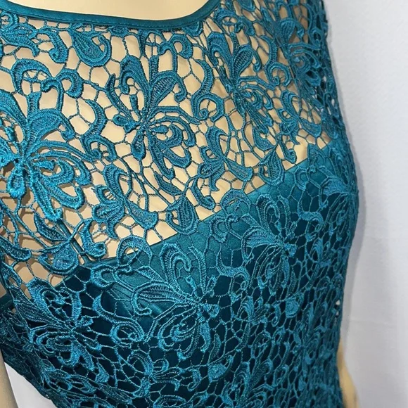 Adrianna Papell Lace Cap Sleeve Dress - Picture 6 of 13